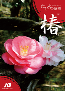 旅行カタログギフト たびもの撰華 椿 (つばき)の表紙の写真